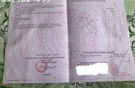 c4453796 346e 4a62 910d 39253d243a99jpg bak 638751611303382229jpg bak 638752276083904231