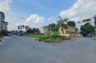 tin 051224 1