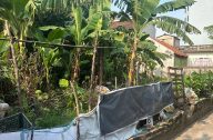 anh dat vinh trung 191m 227251