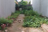 anh tai dang tin dat o lien ninh 16725