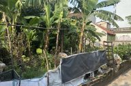 2anh dat vinh trung 191m22mt16ty4825