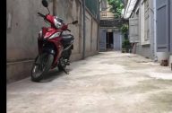 cho thue nha dong thien 1