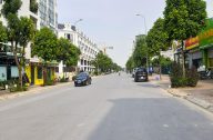 tin 050825 1