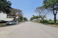 tin 070825 1
