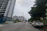 tin 180825 1 2