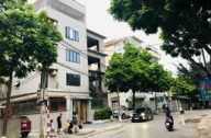 dat dau gia phu thuong 1