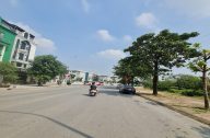 tin 030925 1